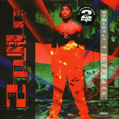 Image de 2pac - Strictly 4 My N.I.G.G.A.Z...(2LP)