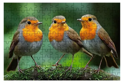Produktbild von 5000 Teile Holzpuzzle mit Vogelmotiven für Erwachsene