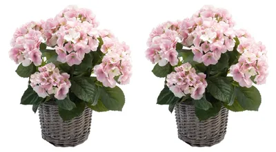 Produktbild von 2er Set künstliche Hortensien im Korb rosa H. 45cm D. 20cm Emerald Topfpflanze