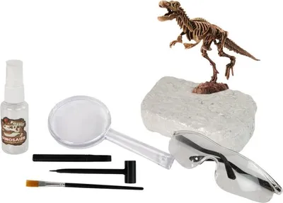 Produktbild von LEAN Toys 13005 Archäologie-Set 2-in-1 – T-Rex-Skelett