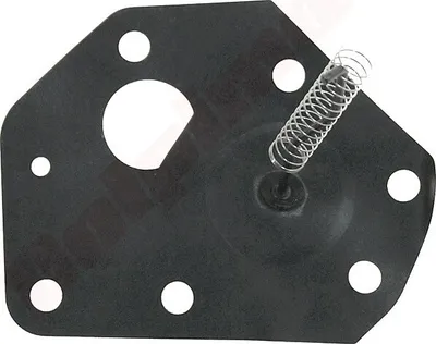 Produktbild von Membransatz Für Briggs&Stratton ( 299637 )