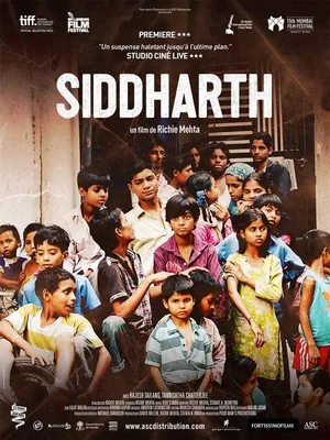 Productafbeelding van Siddharth - 2013 - Richie Mehta, Rajesh Tailang... - 116x158 cm - Origineel filmposter
