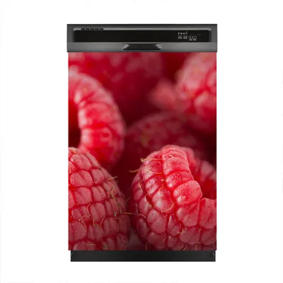 Produktbild von Magnete Dekorative 60x80 cm Küche Magnetmatte Spülmaschine - Rasperries Obst