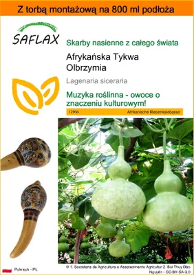 Zdjęcie produktu dla SAFLAX - Garden in the bag - Afrykańska Tykwa Olbrzymia - 15 Nasiona - Z podłożem uprawowym w praktycznej, samorozkładającej się torbie - Lagenaria siceraria