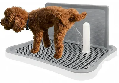 Produktbild von Hundeklo klein 51x39cm – Spritzschutz, Zielpfosten, rutschfest | Pipi Pad Halter für drinnen