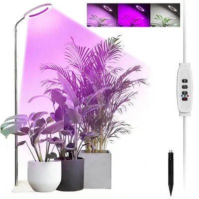 A floor lamp with a ring light illuminates several potted houseplants.