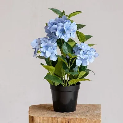 Productafbeelding van Unyqoos® kunstplant, hortensia in pot, 43 cm, met 3 bloeiende en 3 groene takken, zeer realistisch en onderhoudsvriendelijk – decoratieve plant voor woonkamer en kantoor