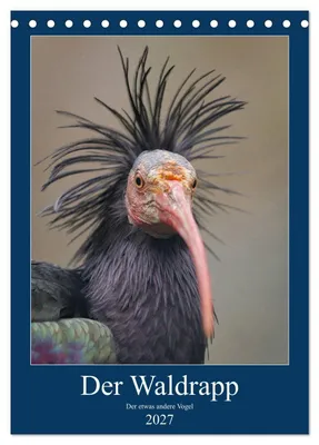 Produktbild von Der Waldrapp - Der etwas andere Vogel (Tischkalender 2027 DIN A5 hoch), CALVENDO Monatskalender