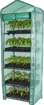 Produktbild von Gewächshaus PIVY L mit 5 Ebenen | HxBxT 200x69x49cm | Grün | Foliengewächshaus