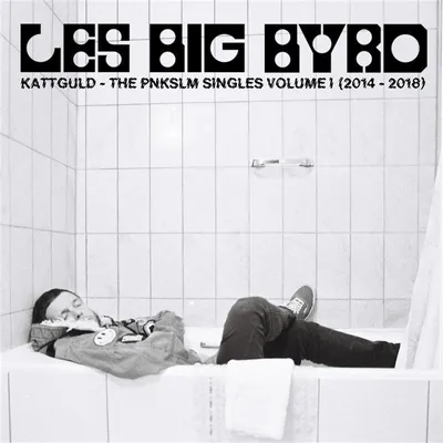 Zdjęcie produktu dla Kattguld – The Pnkslm Singles Volume 1 (2014–2018)