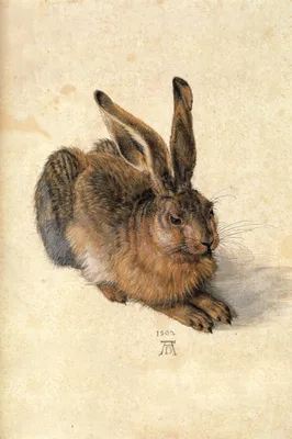Produktbild von Albrecht Dürer Kunstdruck Bild - Junger Feldhase, 1502 (180 x 120 cm)