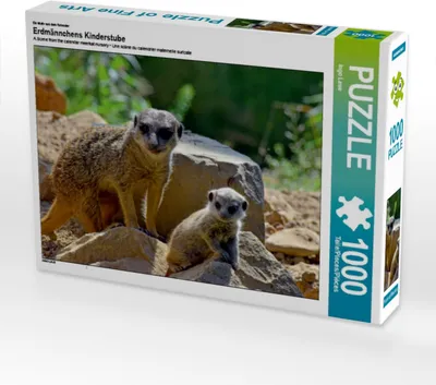 Produktbild von Calvendo Ein Motiv aus dem Kalender Erdmännchens Kinderstube 1000 Teile Puzzle quer 640x480mm, Laue Ingo; 7275186