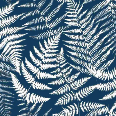 Immagine prodotto di Carta da parati Rasch Textil collezione Jungle Fever 139000 aspetto naturale