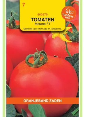 Image de Tomate Morane F1, variété orange - 1 paquet de graines