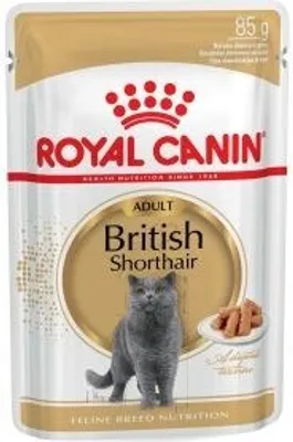 Produktbild von Royal Canin British Shorthair Pack 12X85G