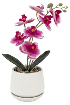 Produktbild von G.blümt Künstliche Orchidee Phalaenopsis im Topf, kleine Kunstpflanze Schmetterlingsorchidee wie echt Rosa, weißer Topf