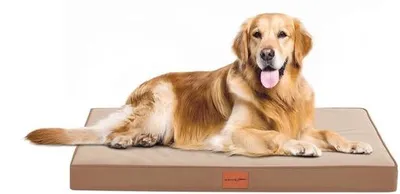 Immagine prodotto di Cuccia ortopedica per cani, taglia media, 91x69 cm, marrone, lavabile, antiscivolo