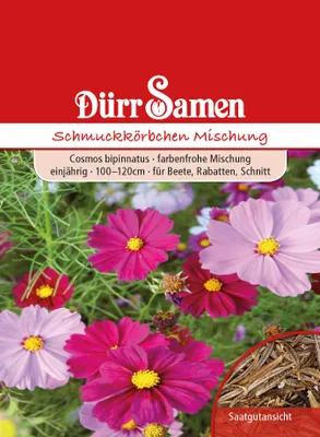 Produktbild von Dürr-Samen - Cosmea Prachtmischung einjährig 100-120 cm - Saatgut - 0713