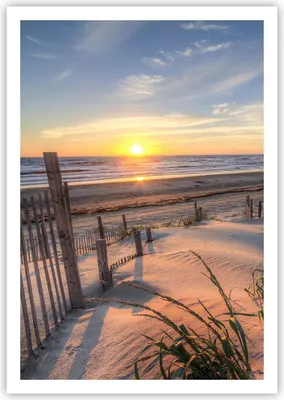 Produktbild von Poster - Poster ohne Rahmen - Westen Sonne Düne - 70x100 cm - Wand Bild - Wanddeko - Wandbilder - Kunstposter - Wandposter - Bilder - Kunstdruck - Wanddekoration - Wandbild - P2XPA70x100-4219