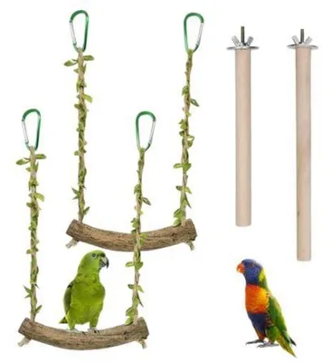 Image de Jeu pour perruches ondulées, ensemble de 4 pièces : balançoire en bois naturel et perchoirs pour oiseaux