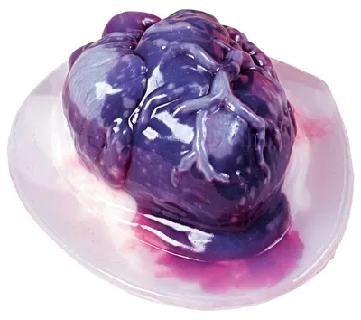 Produktbild von Puddingform Herz Halloween Party-Gadget transparent 20x15x7,5cm
