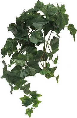 Produktbild von Warentuin Producten