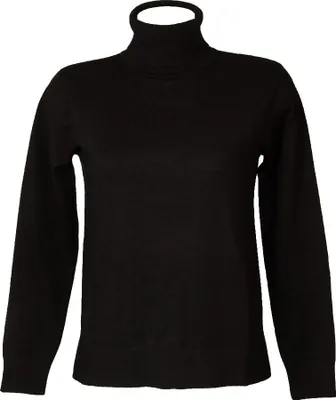 Immagine prodotto di Maglia donna RAGNO collo roulè ciclista manica lunga regular fit fin.12 four seasons winter basic articolo DI44TK, 3 - TERZA, Viscosa 70%,Poliammide 30%