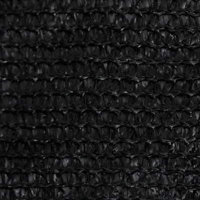 Immagine prodotto di vidaXL Tenda da sole 160 g/m² Nero 2x2,5 m HDPE
