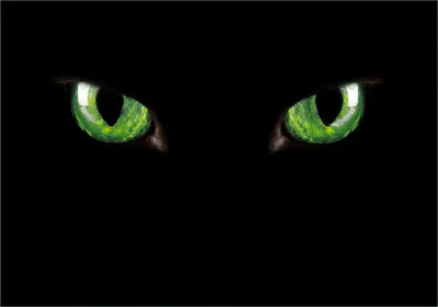Produktbild von Wallario Poster - Grüne Katzenaugen bei Nacht, Kunstdruck Größe: 70 x 100 cm
