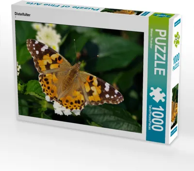 Produktbild von CALVENDO Puzzle Distelfalter 1000 Teile Puzzle quer | 1000 Teile Lege-Größe 64x48cm Foto-Puzzle für glückliche Stunden