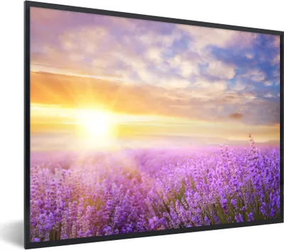 Produktbild von MuchoWow® Gerahmtes Poster Lavendel - Sonne - Himmel - Natur 40x30 cm - Poster mit Schwarzem Bilderrahmen Wandposter Rahmen Foto Bilder - Kunstposter - Wanddekorationen