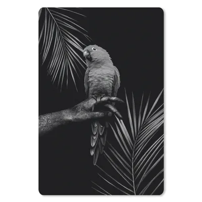Produktbild von MuchoWow® Mauspad Mousepad Tropischer Vogel vor schwarzem Hintergrund - schwarz und weiß 40x60 cm - Mousepads - Maus Mat - Pad - Mausunterlage - Schreibtisch Accesoire
