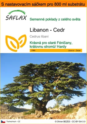 Obrázek produktu pro SAFLAX Garden in the bag - Libanon - Cedr - Cedrus libani - 20 Semena - S pěstebním substrátem v praktickém samovztyčovacím sáčku
