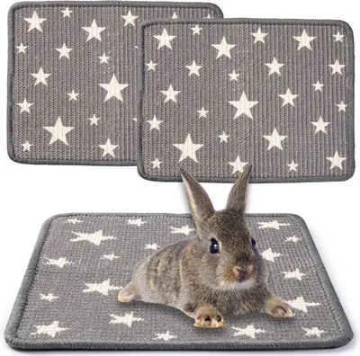 Obrázek produktu pro Sisalová podložka pro králíky 40 x 30 cm, přírodní, protiskluzová, pro drobná zvířata