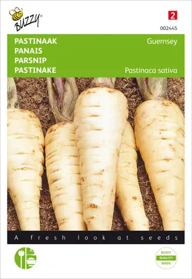 Obrázok produktu pre Pastinák z Guernsey | Semená pastináku od Buzzy Seeds