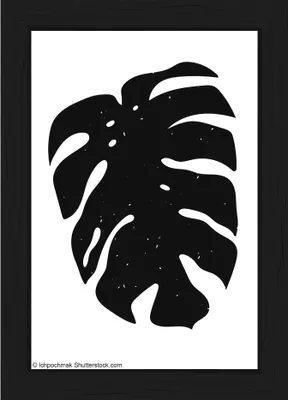 Produktbild von Walther Holzrahmen Liv Monstera schwarz 10x15 cm