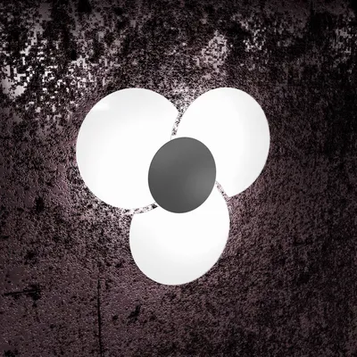 Zdjęcie produktu dla Nowoczesna lampa ścienna Clover, metal antracytowy, szkło białe, 3 żarówki E27