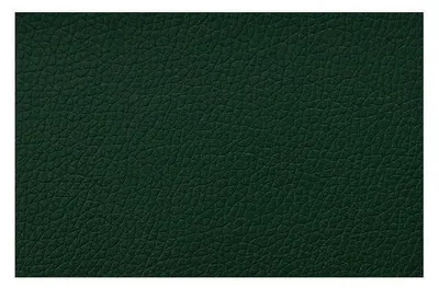 Productafbeelding van Zelfklevende Lederen Reparatieset Donkergroen 50 x 70 cm