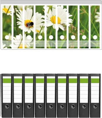 Produktbild von Wallario 9 Stück breite Ordner inkl. Klebeetiketten mit Motive Margeritenwiese -  Set mit Rückenschildern / Ordnerrücken Stickern