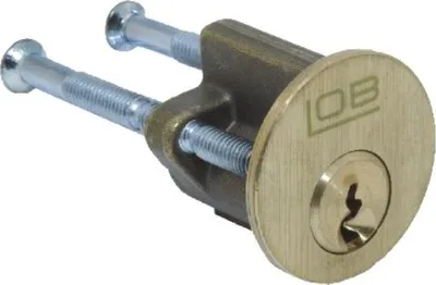 Produktbild von Rundzylindereinsatz WT 01-02 Nickel - MP WK T-02