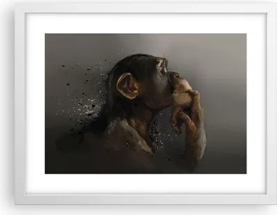 Produktbild von Gerahmtes Poster - Weißer Rahmen - Schimpanse Porträt Grafik - 40x30 cm - Wand Bild - Wanddeko - Wandbilder - Kunstposter - Wandposter - Bilderrahmen - Bilder - Kunstdruck - P2WAA40x30-4676