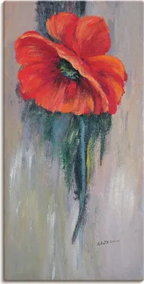 Produktbild von ARTland Leinwandbild Roter Mohn III Größe: 50x100 cm