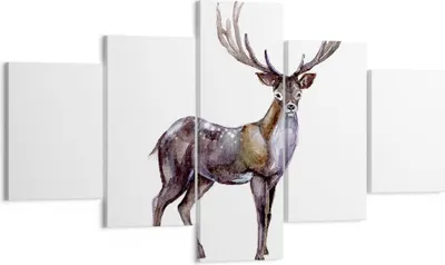 Produktbild von Bild auf Leinwand - Leinwandbild - Liebes Tier Wild Wald - 125x70cm - Wand Bild - Wanddeko - Leinwanddruck - Bilder - Kunstdruck - Wanddekoration - Leinwand bilder - Wandkunst - EA125x70-2938