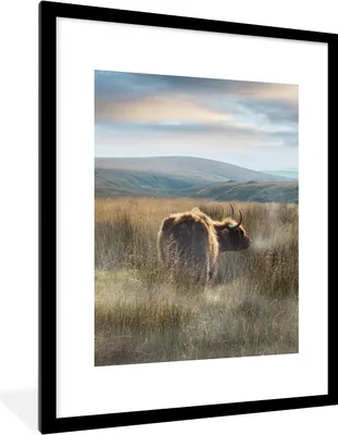 Produktbild von MuchoWow® Gerahmtes Poster Schottische Highlander - Nebel - Gras 60x80 cm - Poster mit Schwarzem Bilderrahmen Wandposter Rahmen Foto Bilder - Wohnzimmer - Dekorationen - Prämie