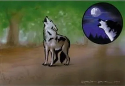 Produktbild von Coyote Schablone 262 502
