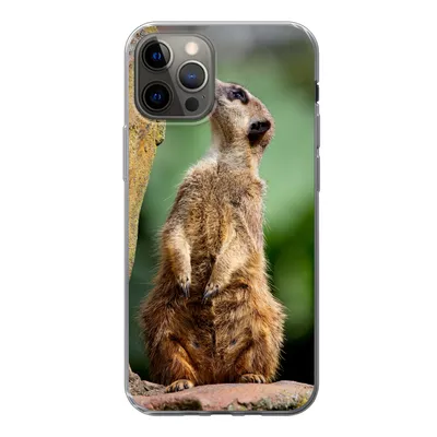 Produktbild von MuchoWow® Handyhülle Schutzhülle Hülle für iPhone 13 Pro Erdmännchen - Tier - Rock Silikon Softcase Handy Hülle - Handy-Tasche