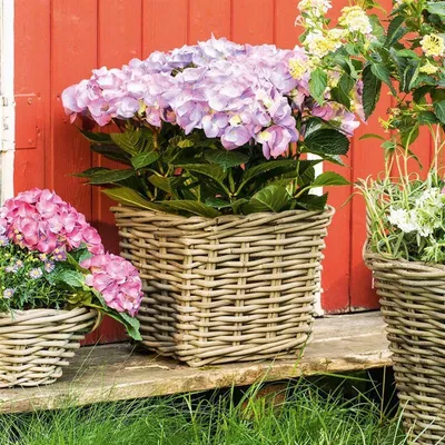 Produktbild von Pflanzkorb "Koboo Grey" aus Rattan, quadratisch, grau, klein, Blumentopf, Pflanzkübel, Pflanztopf für Draußen, Blumenkübel