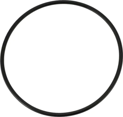Produktbild von Dichtring für den Deckel des Ansauggeräuschdämpfers TS250, TS250/1