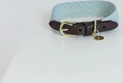 Produktbild von Kentucky Dogwear Hundehalsband Jacquard Hellblau XS