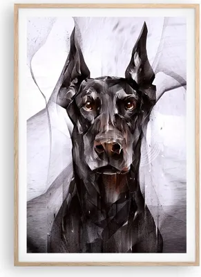 Produktbild von Gerahmtes Poster - Rahmen in heller Eiche - Hund Abstraktion - 70x100 cm - Wand Bild - Wanddeko - Wandbilder - Wandposter - Bilderrahmen - Bilder - Kunstdruck - Wandbild - P2NPA70x100-3999